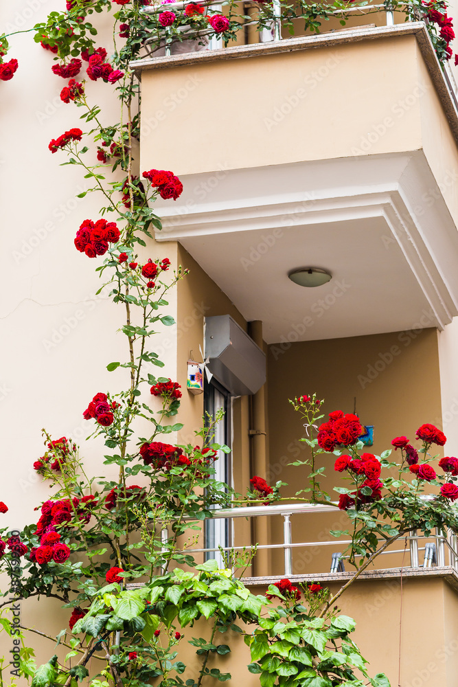 Naklejka premium balcony with roses