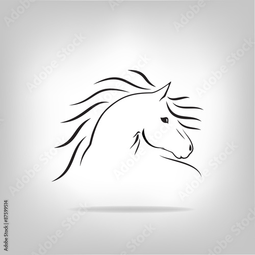 Vector image of a horse