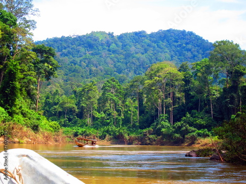 Taman Negara