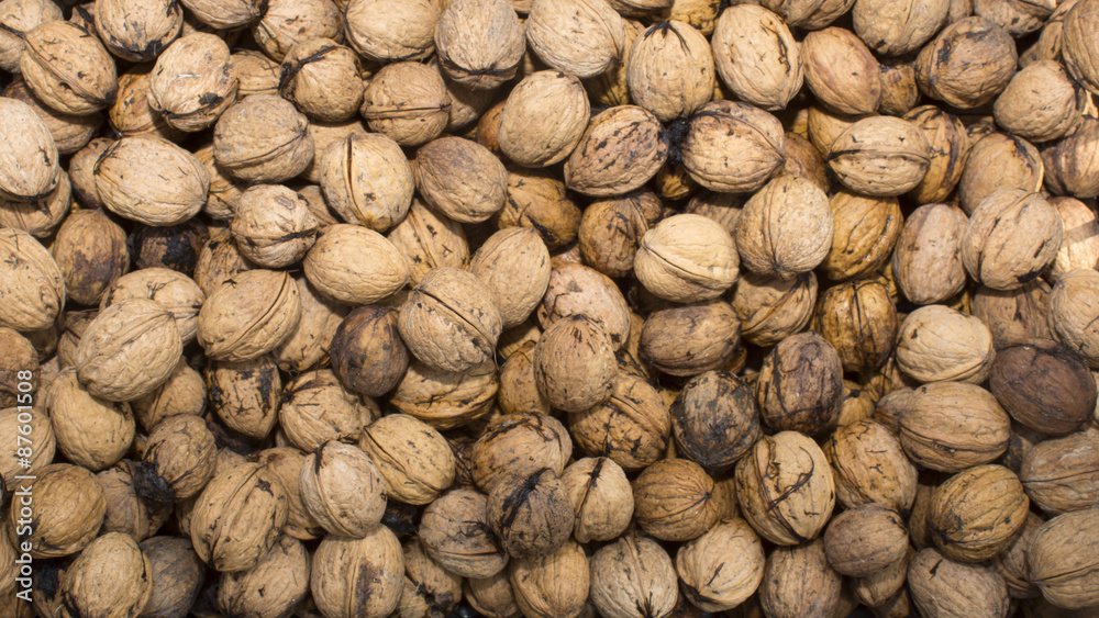 Nuts 001 Nuts 001