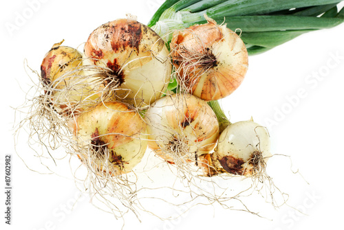Onion, isolated on a white.