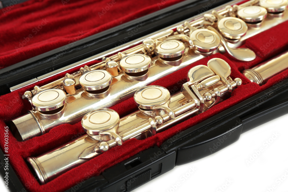 Obraz premium Flute in case close up