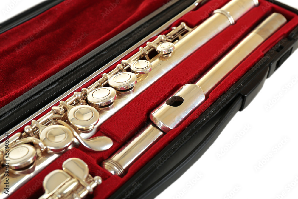 Naklejka premium Flute in case close up