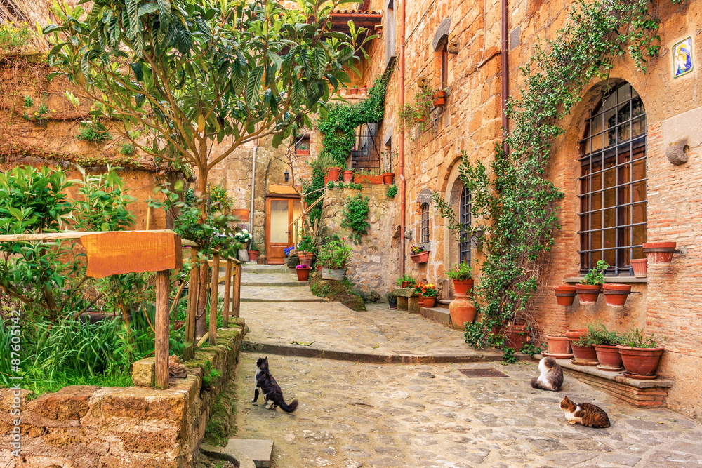 Beautiful alley in old town Tuscany