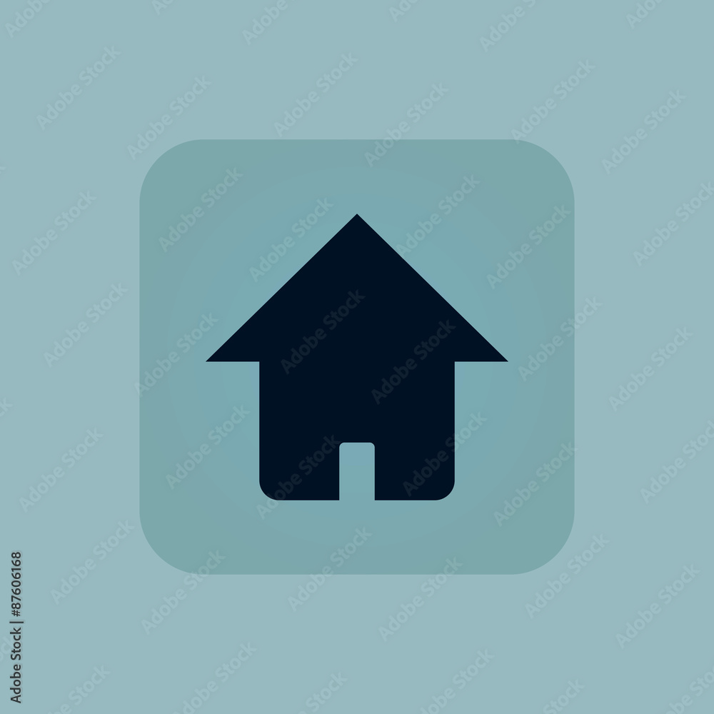 Pale blue home icon