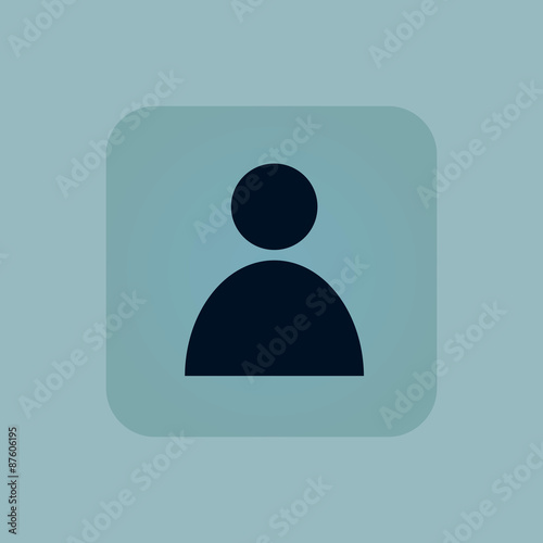 Pale blue user icon