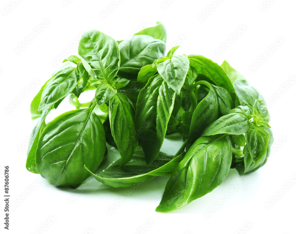 Fototapeta premium Green fresh basil isolated on white