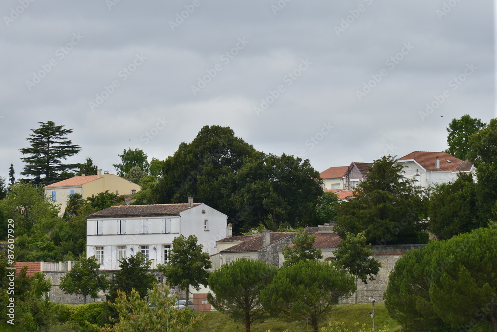 custom made wallpaper toronto digitalLotissement dans la nature près des arènes gallo-romaines de Saintes 