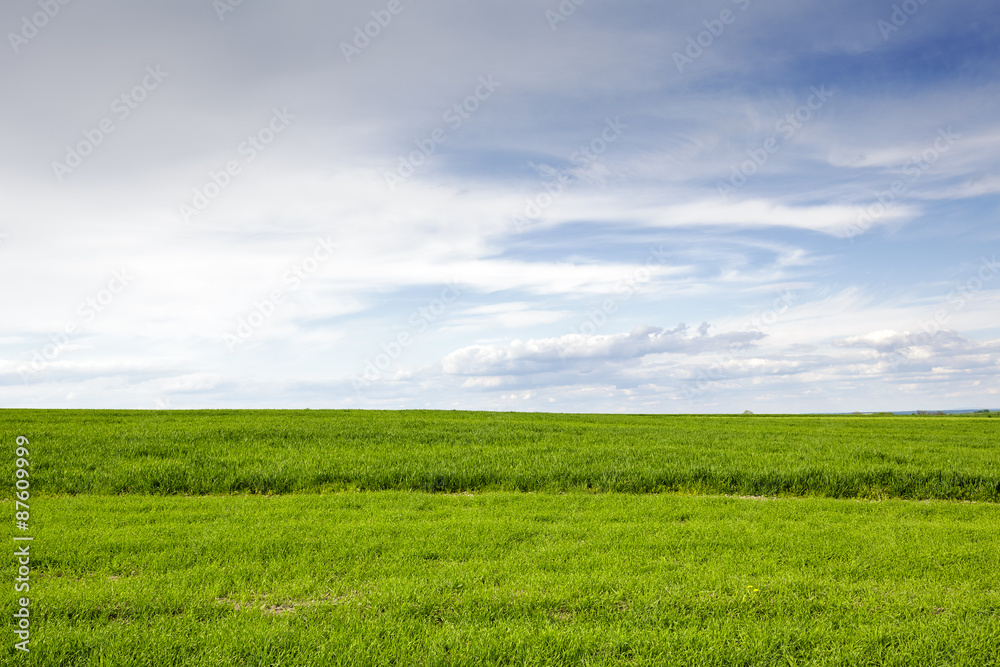 The green cultivated field and sky The green cultivated field and sky