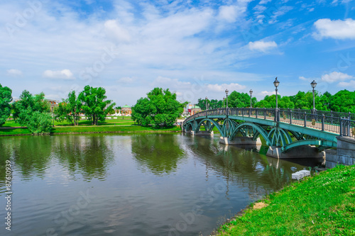 River and bridge in summer park
