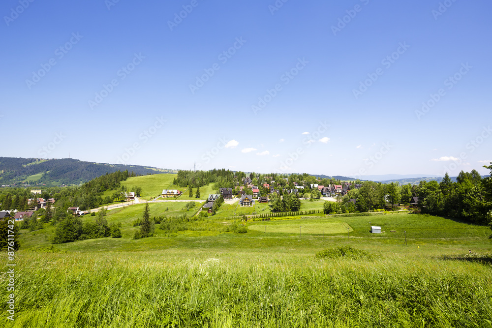 Green areas and houses in the city of Zakopane