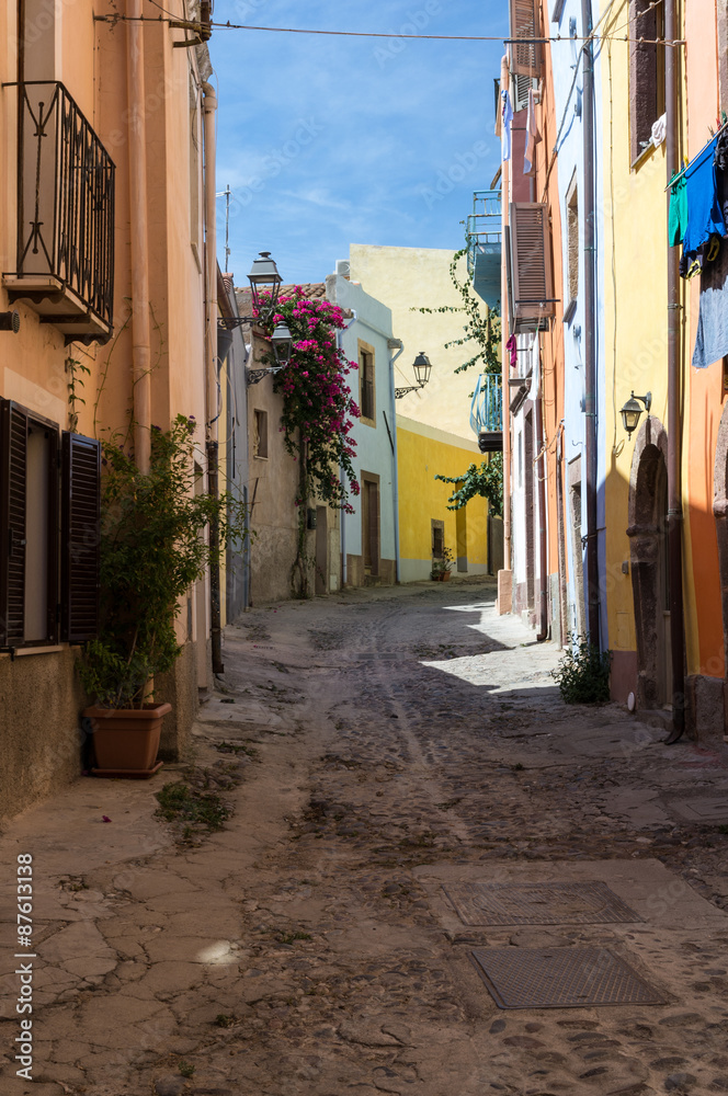 Obraz premium Narrow street flowered