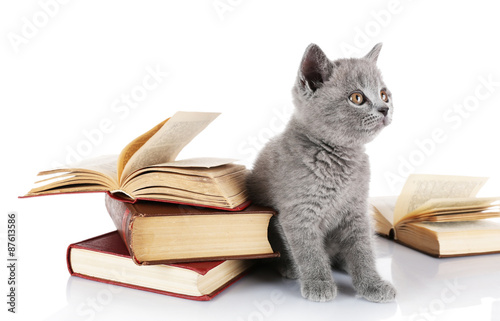 Cute gray kitten with pile of books isolated on white