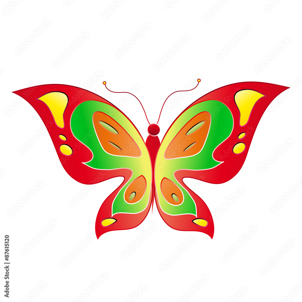 butterflies design butterflies design