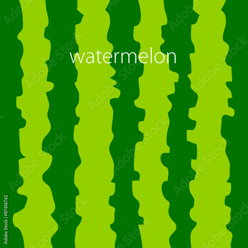 watermelon color background vector