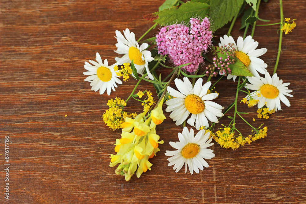Fototapeta premium bouquet of summer meadow flowers 
