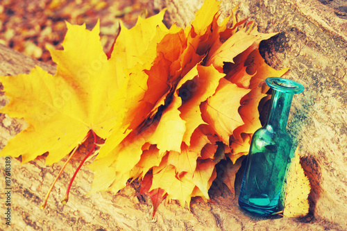 autumn background