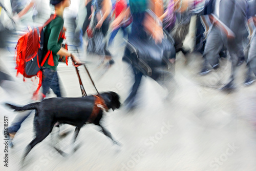 Fototapet Guide dog is helping bilnd people