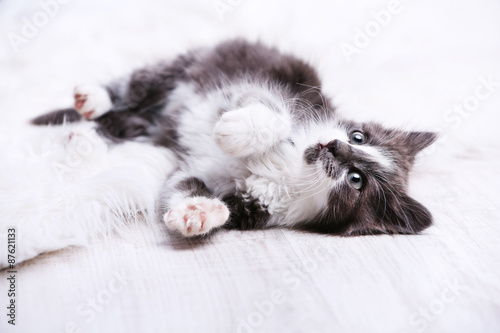 Cute gray kitten on carpet on floor at home © Africa Studio