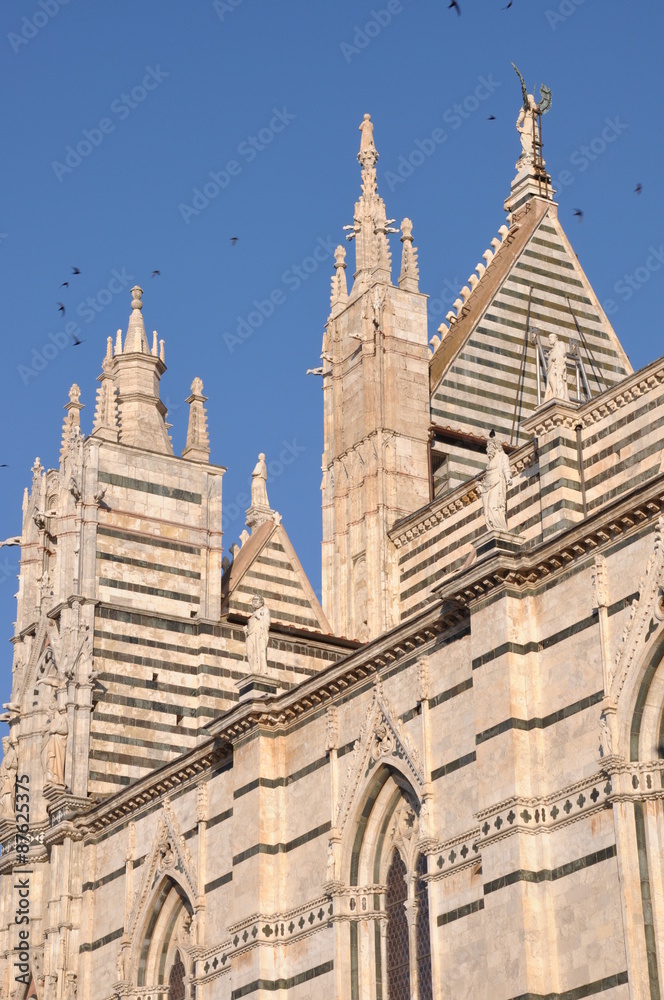 Towers of Santa Maria Assunta Cathedral in Siena, Italy Towers of Santa Maria Assunta Cathedral in Siena, Italy