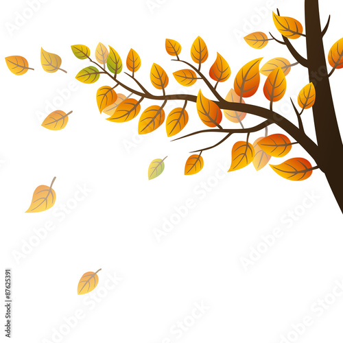 Autumn branch with leaves on white background, vector illustration
