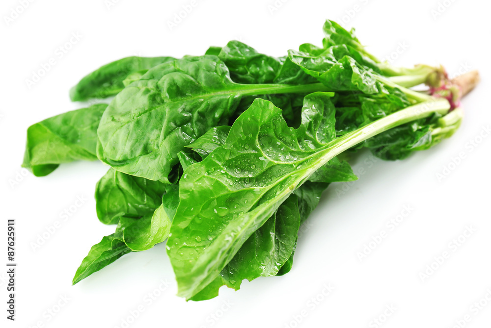 Fresh spinach leaves isolated on white Fresh spinach leaves isolated on white