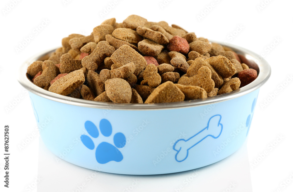 Dog food in bowl, isolated on white Dog food in bowl, isolated on white