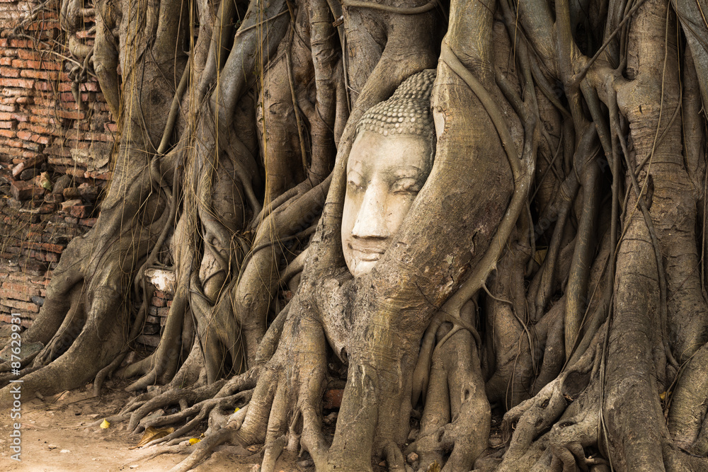 Head of Sandstone Buddha in The Tree Roots at Wat Mahathat, Ayutthaya, Thailand Head of Sandstone Buddha in The Tree Roots at Wat Mahathat, Ayutthaya, Thailand