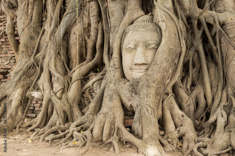 Head of Sandstone Buddha in The Tree Roots at Wat Mahathat, Ayutthaya, Thailand Head of Sandstone Buddha in The Tree Roots at Wat Mahathat, Ayutthaya, Thailand