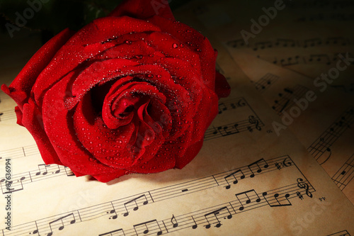 Beautiful red rose on music...