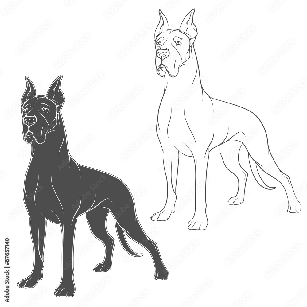 Vector drawing of dog. Isolated objects on a white background.