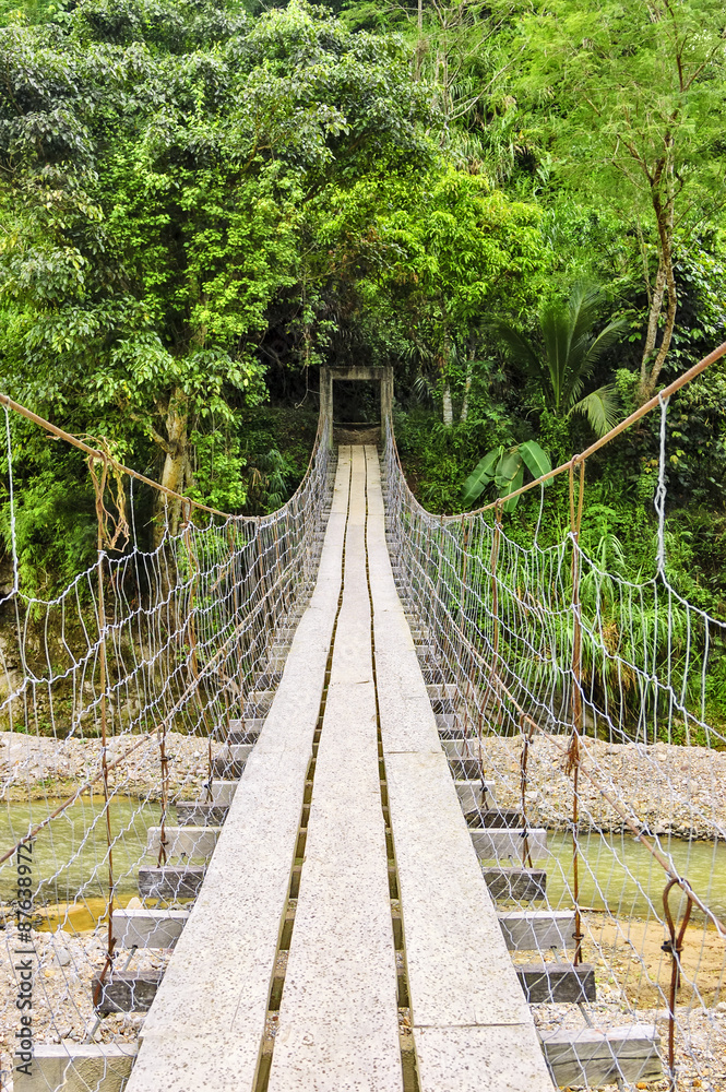 Obraz premium Rural Hanging Bridge