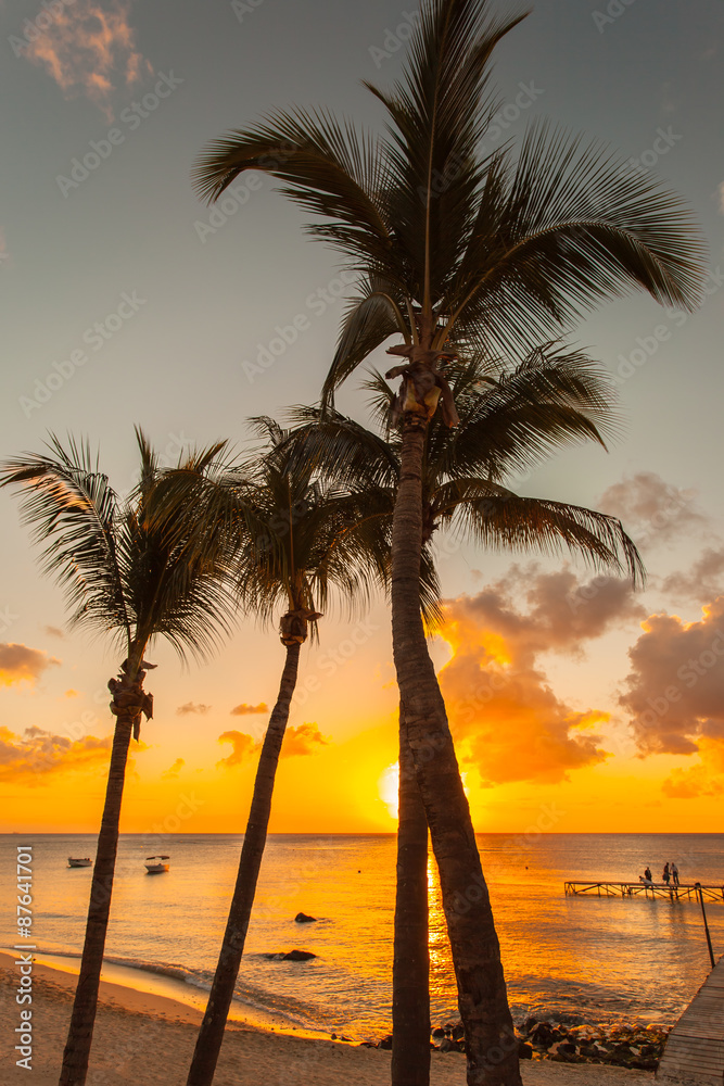 coucher de soleil derrière les cocotiers de l'île Maurice