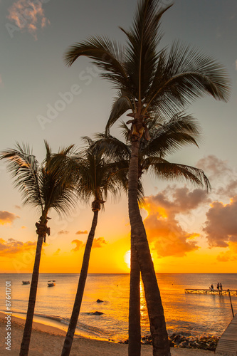 coucher de soleil derrière les cocotiers de l'île Maurice