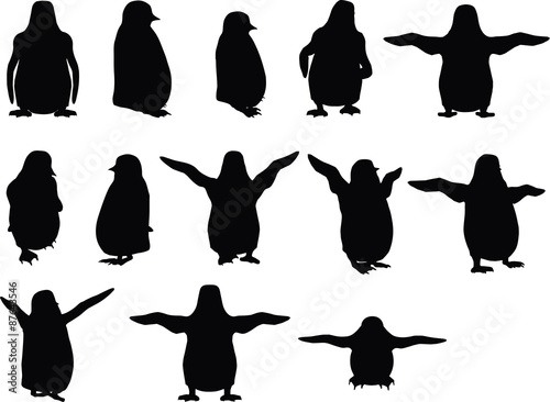 baby animal penguin silhouette