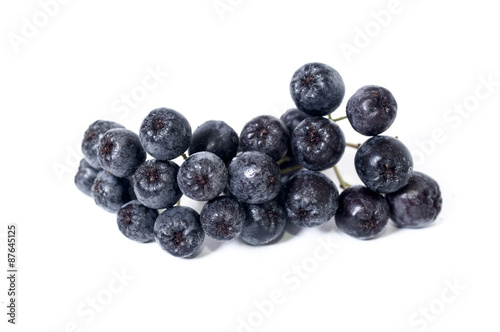 Black chokeberry - aronia on a white background