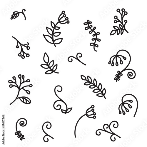 Hand drawn abstract floral elements