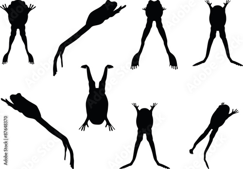 frog silhouette