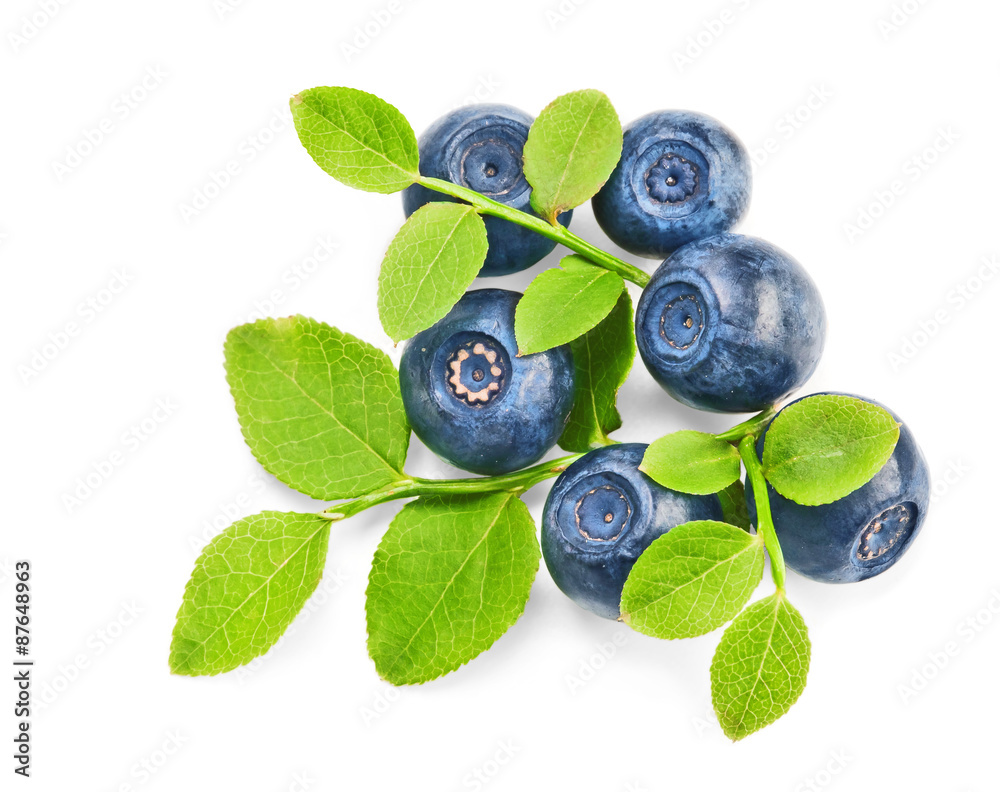 Fresh blueberries with green leaves Fresh blueberries with green leaves