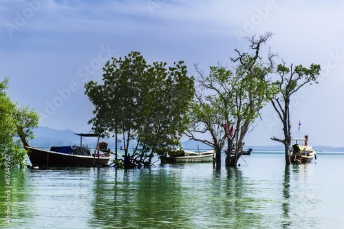 Boats in the Mangroves © GNNick