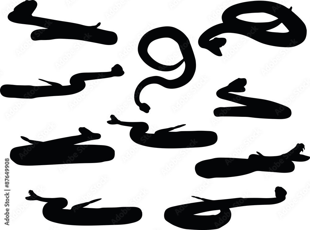 reptile rattler silhouette reptile rattler silhouette