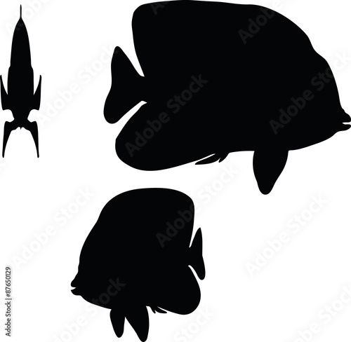 angelfish silhouette