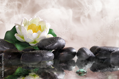 Canvas Print Water lily on black stones with water and vapour