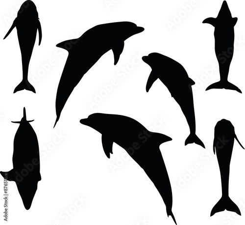 dolphin silhouette