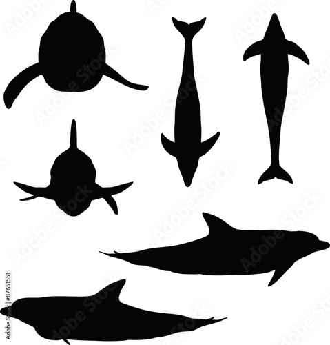 dolphin silhouette