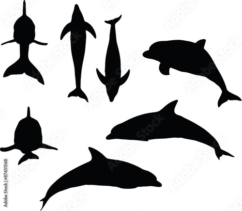dolphin silhouette