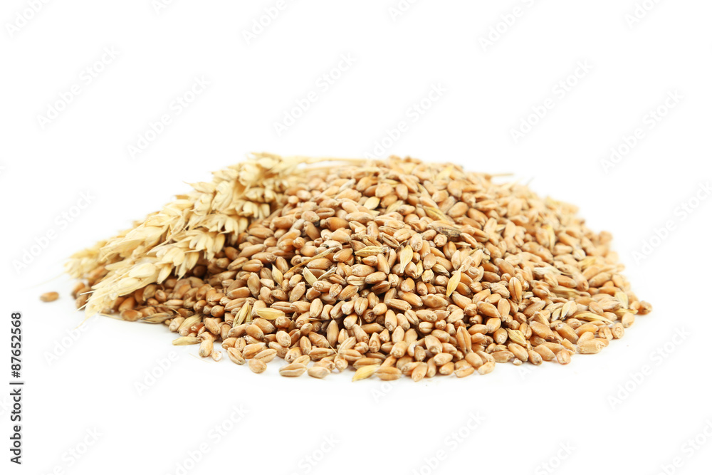 Ears of wheat and wheat grains isolated on white Ears of wheat and wheat grains isolated on white