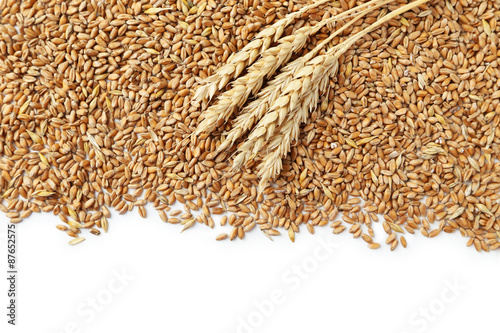Wheat grains on a white background