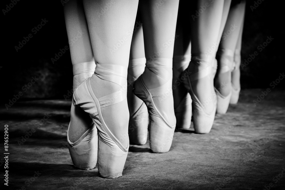 Fototapeta premium Ballet Shoes