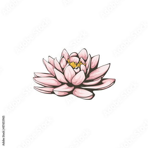 Vector lotus flower.